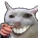 CursedCatPointing