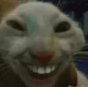 CursedGoblinCat