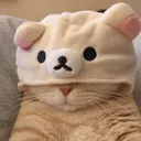 cutecat