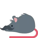 rat_moustache