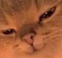 cat_smile