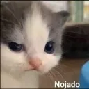 nojado