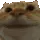 Yes