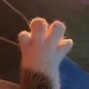 catpaw catpaw