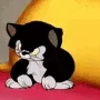 CatHmph CatHmph