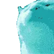 catJAMJAMJAM