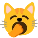 catyawn