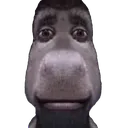 donkeystare donkeystare