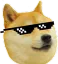 DogeGlasses