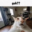 guhcat guhcat