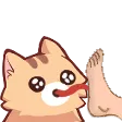 nkoFeetL
