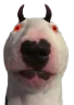 walter_diabolico