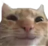 catsmile