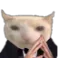 g_adiin_cat g_adiin_cat