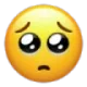 pleading