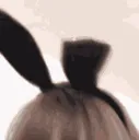aestheticbunnyears