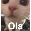 ola