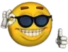 sunglassnice