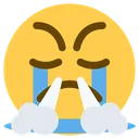 AngryCry