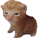 :100: