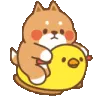pinterest_yuppi
