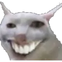 wesh