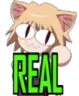HT_necoreal