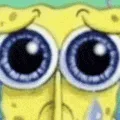 spongesad3d
