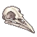 skull_bird