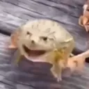 froger Discord Emoji