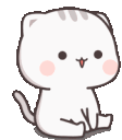 CatNod Discord emoji