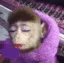 mommy_monkey mommy_monkey