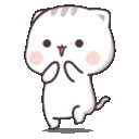 CatExcited Discord emoji