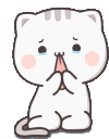 cat Discord emoji
