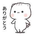 CatThankYou Discord emoji