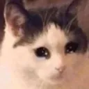 monchi_cri