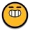bot bot