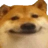 Verypoggers