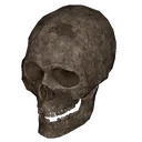 skull