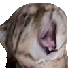 AAAAAAAA