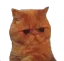 t3ban