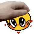 petpet