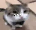 canwebanthisguy