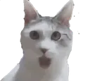 pogu