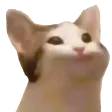 Catyep Discord Emoji