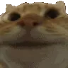 yescat