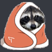 raccoonblankie Discord emoji