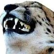 casLUL casLUL