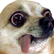 casDerp
