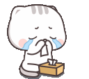 CatCry Discord emoji
